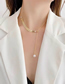 Fashion Golden Titanium Steel Leaf Pearl Necklace