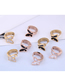 Fashion Gold Coloren-2 Titanium Steel Butterfly Ear Ring
