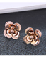 Fashion Gold Titanium Steel Rose Earrings