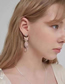 Fashion Silver Copper Inlaid Zirconium Bow Cat Earrings