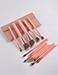 Fashion Pink Set Of 14 Pink High-end Makeup Brushes With Leather Case