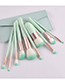 Fashion Green Set Of 10 Green High-end Makeup Brushes With Leather Case