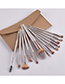 Fashion Brown Set Of 13 High-end Makeup Brushes In Khaki With Leather Case
