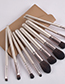 Fashion Brown Set Of 10 Khaki Premium Makeup Brushes With Leather Case