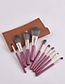 Fashion Brown Set Of 10 Pink High-end Makeup Brushes With Leather Case