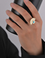 Fashion Gold Color Stainless Steel Young Eagle Pine Open Ring