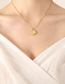 Fashion Golden Pig Necklace-40+5cm Titanium Steel Gold Plated Pig Necklace