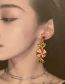 Fashion Gold Alloy Diamond Candy Stud Earrings