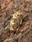 Fashion Silver Color Copper Gold Plated Micro Diamond Open Ring