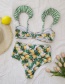 Fashion Papaya Ruffled Print Split Swimsuit