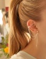 Fashion Gold-single Alloy Leaf Tassel Geometric Earrings