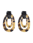 Fashion Leopard Print Suit Fringed Horsehair Pendant Acrylic Leopard Print Geometric Earrings Necklace Bracelet