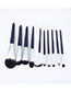 Fashion Bihai Set Of 10 Nylon Hair Wooden Handle Makeup Brushes