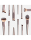 Fashion Champagne Gold Set Of 10 Nylon Hair Makeup Brushes With Wooden Handle