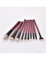 Fashion Maroon Set Of 10 Nylon Hair Makeup Brushes With Wooden Handle