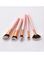 Fashion Pink Pvc5pcs Wooden Handle Aluminum Tube Nylon Hair Makeup Brush Set