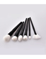 Fashion Black Black Pvc6 Small Fan-shaped Makeup Brushes With Wooden Handle And Nylon Hair