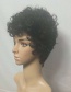 Fashion Black Chemical Fiber Small Curly Short Hair Hood