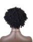 Fashion Black High Temperature Silk Chemical Fiber Hair Cover African Small Curly Wig