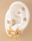 Fashion Gold Alloy Full Diamond Butterfly Earrings Set