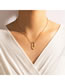 Fashion Gold Alloy Pig Nose Thin Chain Necklace