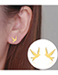 Fashion Steel Color Stainless Steel Dayan Earrings