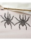 Fashion Black Alloy Spider Earrings