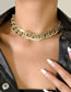 Fashion Melange Necklace Mixed Color Snake Print Aluminum Chain Necklace