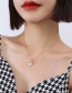 Fashion Rose Necklace 40+5cm Titanium Steel Irregular White Sea Shell Pentagram Necklace