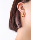 Fashion Steel Color Titanium Steel Geometric Heart-shaped Earrings