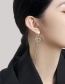 Fashion Gold Asymmetric Full Diamond Bear Earrings