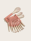 Fashion Leather Pink Set Of 12 Holiday Makeup Brushes
