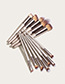 Fashion Champagne Gold Set Of 12 Champagne Gold Makeup Brushes