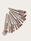 Fashion Champagne Gold Set Of 12 Champagne Gold Makeup Brushes