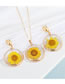 Fashion Round Sunflower Necklace Resin Round Dried Flower Necklace
