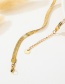 Fashion Gold Color Titanium Steel Snake Bone Chain
