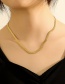 Fashion Gold Color Titanium Steel Snake Bone Chain