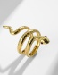 Fashion Gold Color Titanium Steel Serpentine Winding Ring