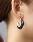 Fashion Amber Acrylic Irregular Geometric Earrings