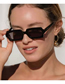 Fashion Leopard Dual Gray Resin Small Frame Square Sunglasses