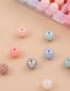 Fashion Color 12 Grid Color Beads Diy Material Box