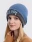 Fashion Coffee Woolen Knit Letter Flanging Cap