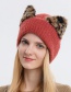 Fashion Khaki Woolen Knitted Cuffed Leopard Print Cat Ear Cap