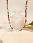 Fashion Color Colorful Rice Beads Beaded Necklace