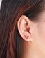 Fashion Black Diamond Copper Inlaid Fancy Diamond Love Stud Earrings