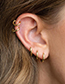 Fashion Large Gold-plated Copper Earrings