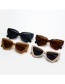 Fashion Leopard Triangle Cat Eye Rice Stud Sunglasses