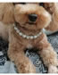 Fashion White Geometric Diamond Pearl Beaded Pet Necklace