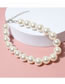 Fashion White Pearl Beaded Pet Necklace