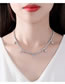 Fashion Silver Color Copper Inlaid Zirconium Claw Chain Necklace